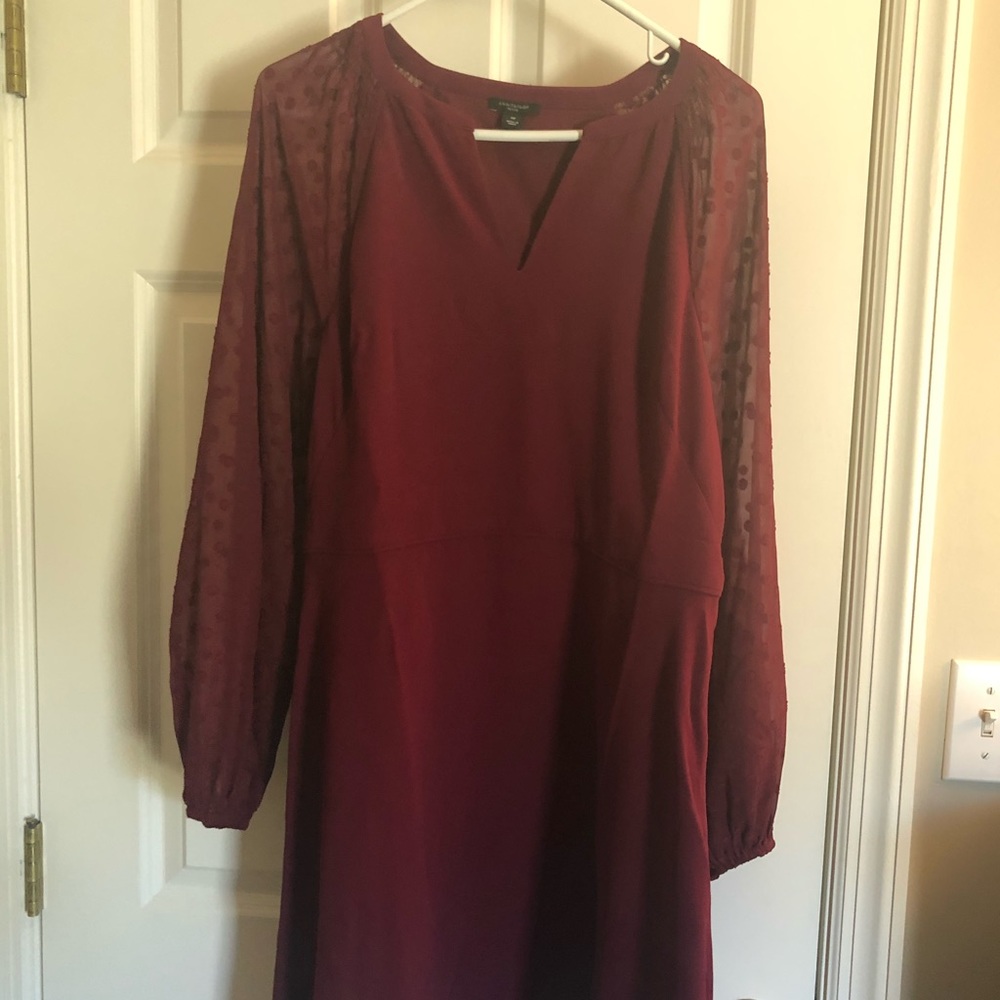 Ann Taylor - burgundy long sleeve dress- size 12P